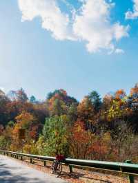 秦嶺帶娃帶父母封神線5天4晚小眾慢遊，躺玩不費媽超治癒