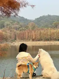 12.1實況live紹興鳳凰山美翻了!!!!!!