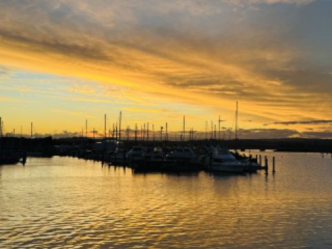 Step into a town where the sunshine stops time: Napier