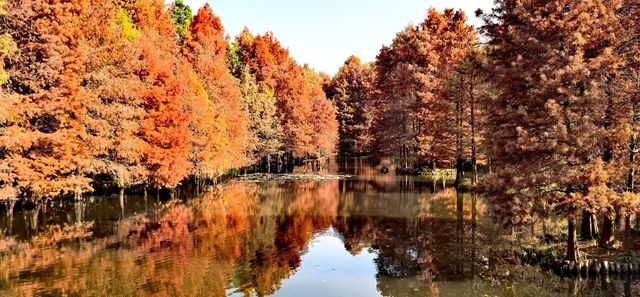 南京紅山森林動物園 南京紅山森林動物園