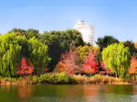 11.27實拍!和平公園的秋天比濾鏡還絕!