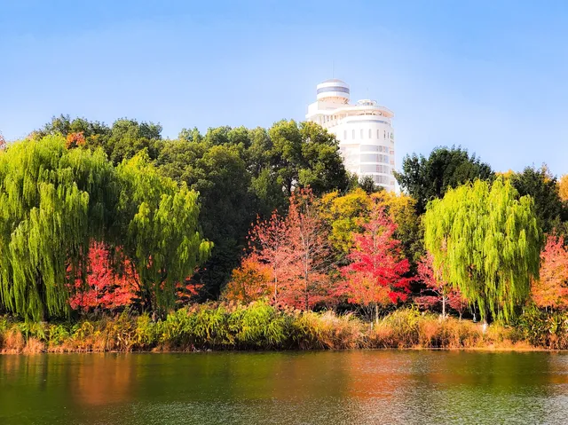 11.27實拍!和平公園的秋天比濾鏡還絕! 11.27實拍!和平公園的秋天比濾鏡還絕!