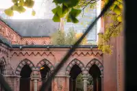 那道光撒向聖三一的銀杏上,也照進我的心裡