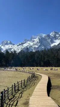 雲南7天6晚solotrip repo