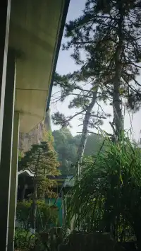 用雨過天青雲破處來描摹的宋之色