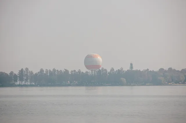 在武漢,週末不知道去哪兒玩,來東湖就對了 在武漢,週末不知道去哪兒玩,來東湖就對了