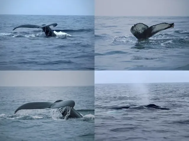 你永遠可以相信一個J人的冰島環島攻略(下) 你永遠可以相信一個J人的冰島環島攻略(下)