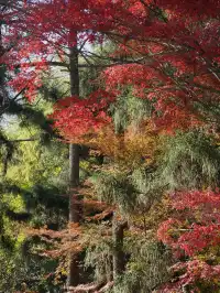 算了，和你們沒來過雄莊的人說不清楚