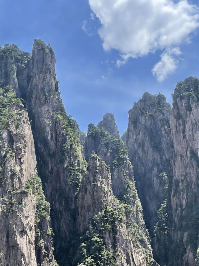 黃山1日包車遊打卡必玩景點