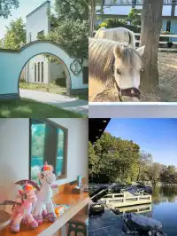 帶父母出遊,這裡成了他們的“誇誇群”