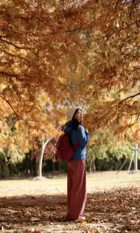 終於等來上海天花板水杉林的封神期附攻略