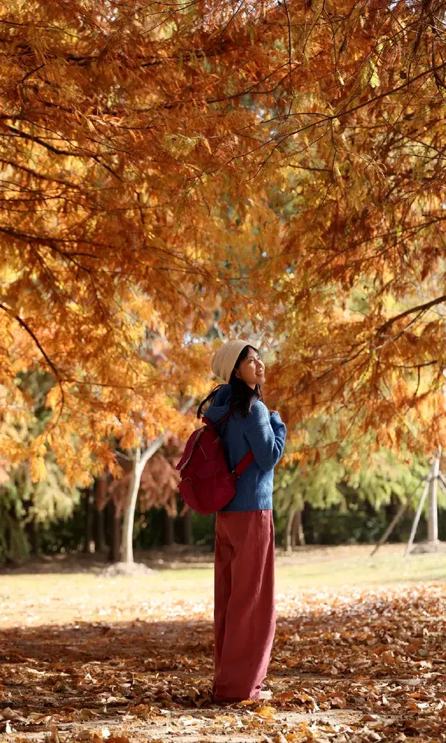 終於等來上海天花板水杉林的封神期附攻略 終於等來上海天花板水杉林的封神期附攻略