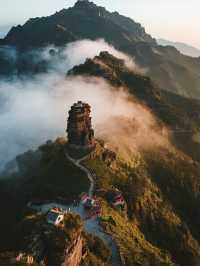 昆明高鐵1h 冬日抹茶親子遊治癒攻略