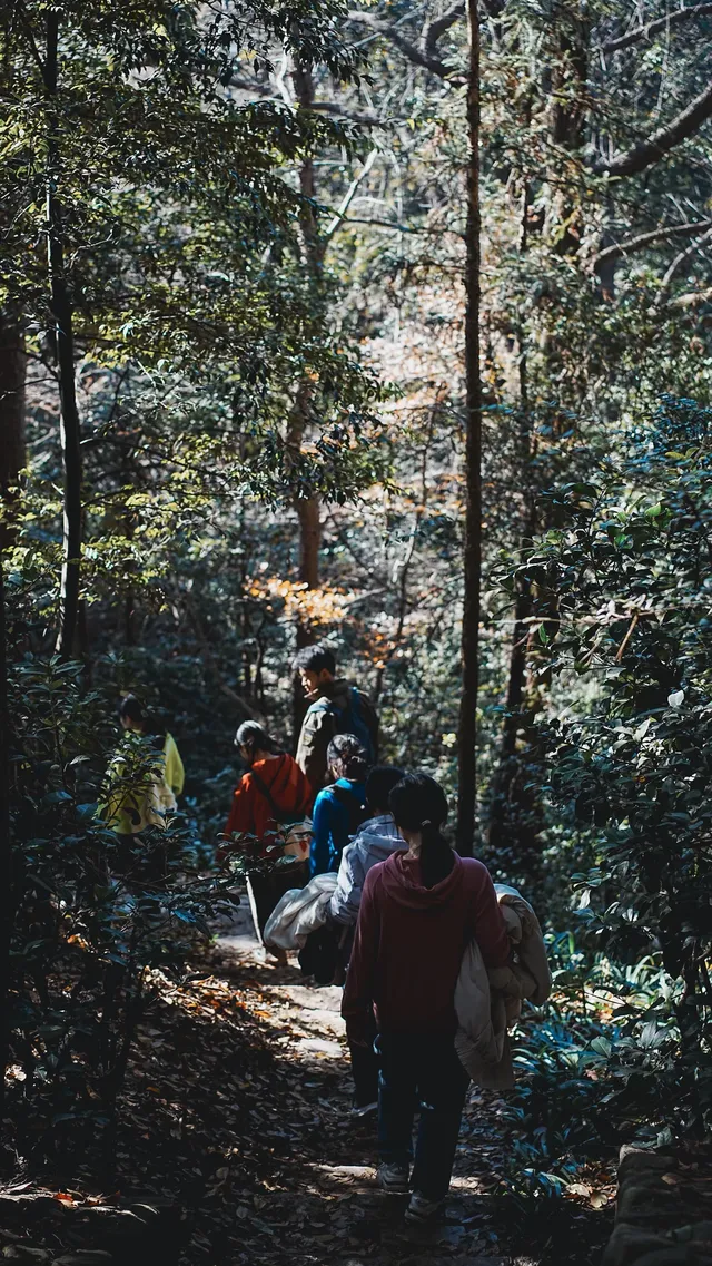 安吉｜靈峰山與章里古道