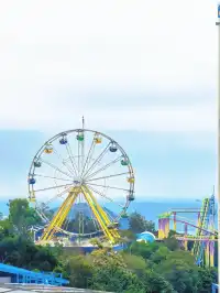 東莞出發!香港海洋公園一日遊攻略