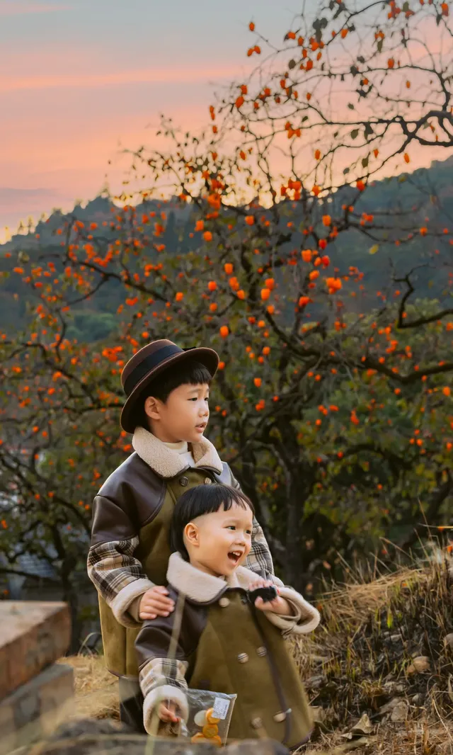 溫州市區1h達這個免費古村,柿子正紅透 溫州市區1h達這個免費古村,柿子正紅透