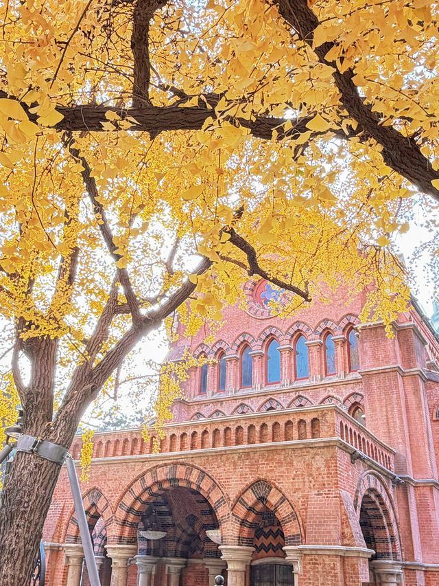 深秋限定！上海聖三一教堂銀杏與穹頂的絕美邂逅