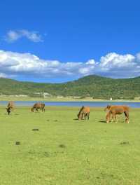 美得不像話雲南麗江也有自己的阿勒泰