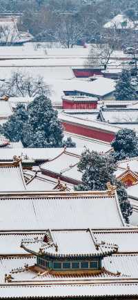 北京下雪啦!一起来看看故宮的雪景吧!