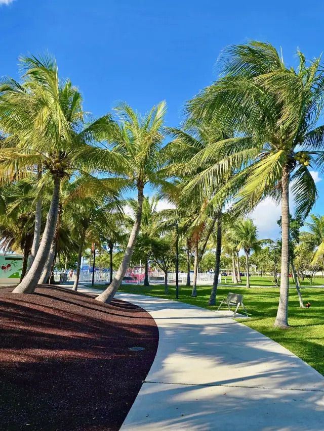 10-Day New Year's Trip to the USA: A Nanny-Level Guide is Here