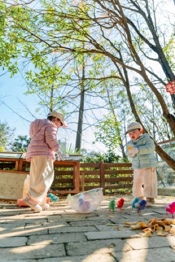 자차로 쿤밍 필수 방문지: 펑방 호텔×귀여운 애완동물 공원 힐링 여행