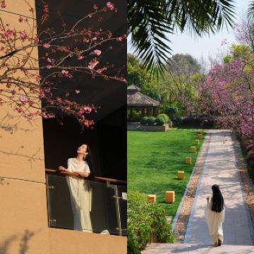 InterContinental Kunming｜Living the softness of Dianchi Lake and spring together