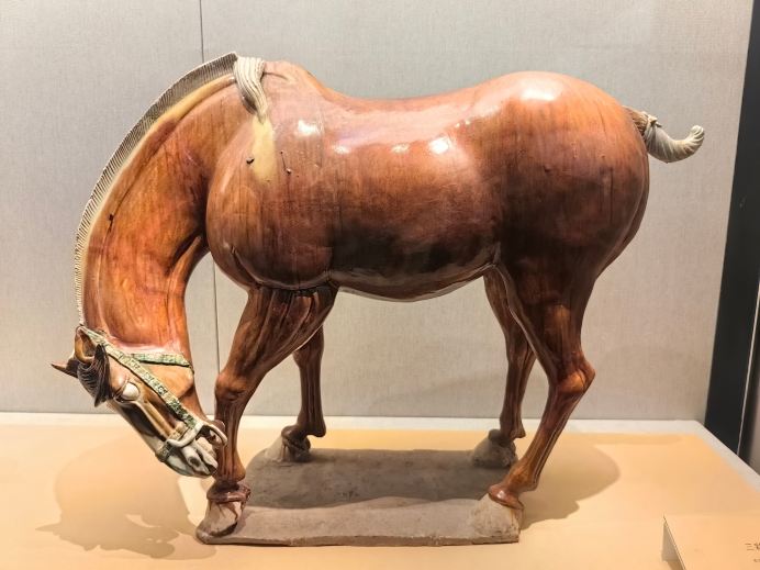 2026年 Shenzhen Museum of Ancient Art博物館・美術館おすすめ| Trip