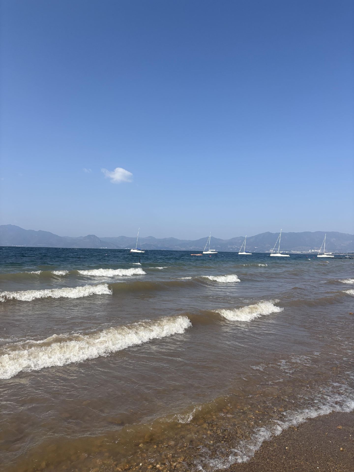  You can get the seaside vacation vibe right in Yunnan 🌴  
In March, Fuxian Lake is brilliantly blue, the beach is soft and inviting, rivaling Sanya!  
📍 Precise Location  
Navigate directly to "Moon Bay Wetland Park," located right by Chengjiang, with convenient parking and friendly park entry~  
✨ Highlights on Site  
Healing Coastline: White sandy beach + gradient blue lake water, with rolling green mountains in the distance, sailboats drifting on the lake—every snap looks like a "pretend seaside" masterpiece 📸  
Wooden Boardwalk: A wooden walkway wrapped in tree shadows leads straight to the lake, sunlight filtering through the leaves creates a perfect atmosphere, just a few steps to the beach  
Palm Beach: Palm trees + thatched umbrellas + lounge chairs, the tropical vibe is fully on! Kick off your shoes, feel the sand, listen to the waves—perfect for relaxing and daydreaming  
Quiet and Less Crowded: Few tourists in March, no crowds, find a shady spot to sit all afternoon, the breeze carries the fresh sweetness of the lake water  
💡 Practical Tips  
Outfit: Light-colored dresses/strappy tops + straw hats match perfectly with the blue lake and white sand, great for photos  
Best Time: 2-4 PM for the best light and bluest water; sunset is also stunning, with warm light gently shining on the lake  
Cost: Park entrance is affordable, beach area is free, renting lounge chairs/umbrellas is also inexpensive  
Nearby: After visiting, try the local copper pot fish and potato rice nearby—so fresh it’ll blow your mind!  
🌊 Random Thoughts  
No need to go to the sea, you can have the same healing experience right in Yunnan 🌿  
Feel the sand, listen to the waves, watch the sailboats—this is what spring should feel like~  
