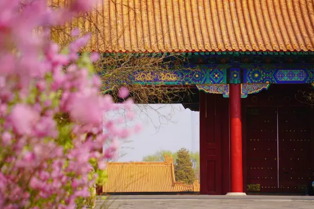 The Palace Museum Flower Viewing Season 2026.3.30