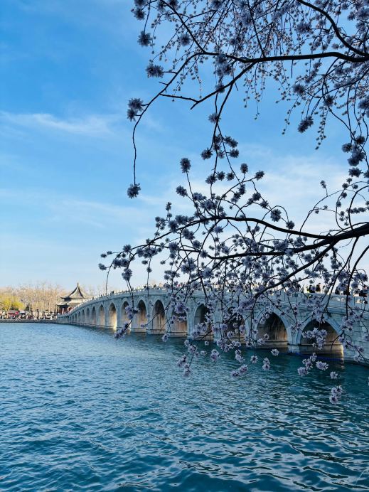 Summer Palace Easy Walking Guide (Lazy Version) – Complete in 3