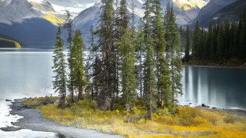 8-day multi-country Canada tour guide cheat sheet — traveler post in Chemainus