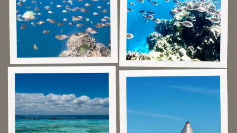 This island has few people and beautiful scenery — traveler post in Anda