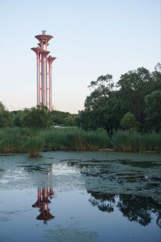 A soothing waterside stroll in the city's green lung: I'd been recommended the Olympic Forest Park's waterways countless times by friends, and finally got to check them out! The lake here is even more expansive than I imagined.