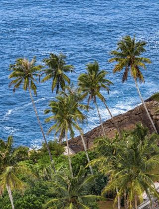 Sri Lanka | truly the pearl of the Indian Ocean!
