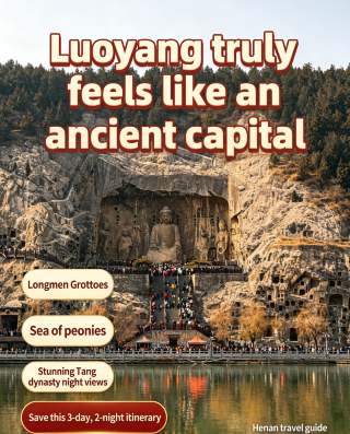 The Ultimate 3-Day, 2-Night Luoyang Guide: A Date with the Divine Capital of the Tang Dynasty
