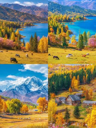 Altay's autumn is legendary for only 20 days! A short trip to the golden fairytale of Northern Xinjiang