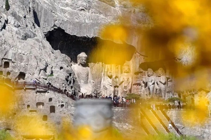 A different kind of autumn in Luoyang