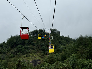 Lushan Mountain one-day tour, choosing Trip.com was the right decision!