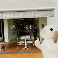 A Delicious Discovery at Hello Arigato~