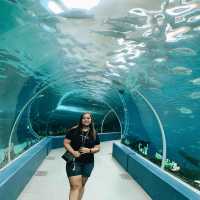 OCEAN PARK CEBU!