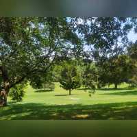 悉尼市區最大既公園～Centennial Park