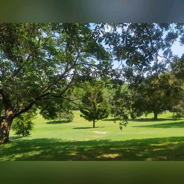 悉尼市區最大既公園～Centennial Park