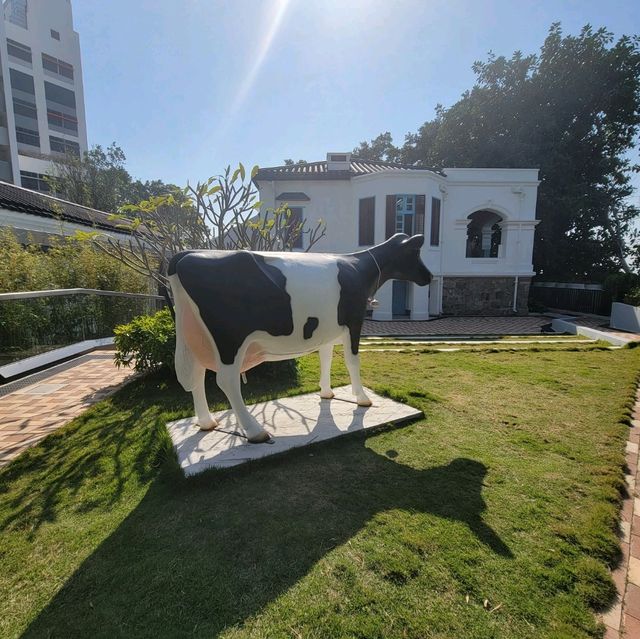 免費參觀昔日牛奶🐄🥛公司舊止😇😇😇