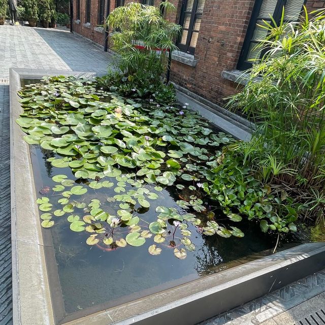 饒宗頤文化館🪷香港🇭🇰文青好去處👏🏻