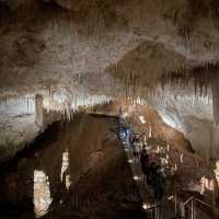 Explore Jewel Cave!