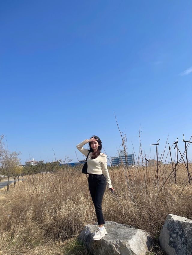 시흥 가볼만한 곳 ‘배곧한울공원‘&아울렛