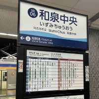 滋賀縣彥根城前往大阪南的交通