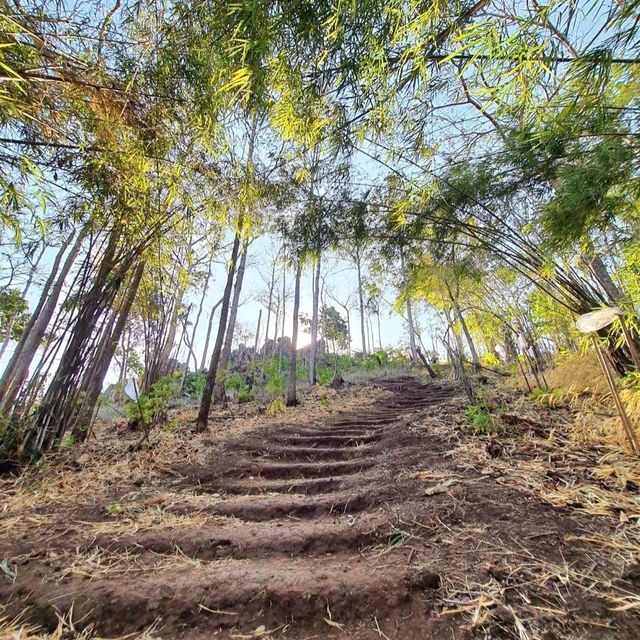 𝙐𝙣𝙨𝙚𝙚𝙣 𝙑𝙞𝙚𝙬 𝙋𝙤𝙞𝙣𝙩  ⛰️ “ภูซับเหล็ก” 🌿