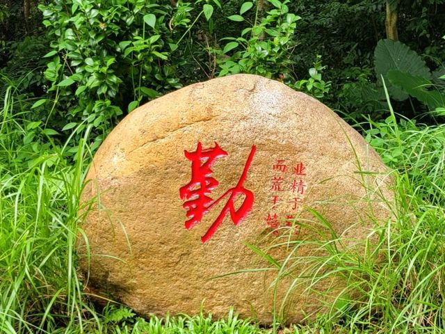 深圳中山公園