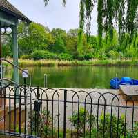 LITTLE CAFE WITH AMAZING LAKE VIEW!